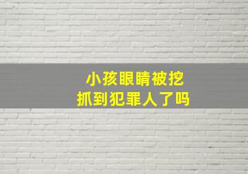 小孩眼睛被挖抓到犯罪人了吗