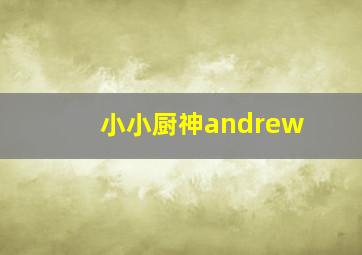 小小厨神andrew