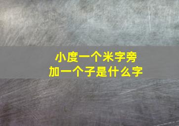 小度一个米字旁加一个子是什么字