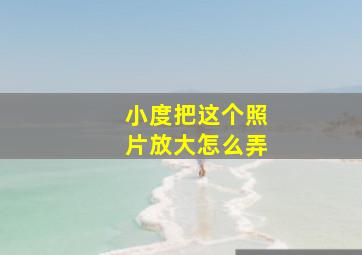 小度把这个照片放大怎么弄