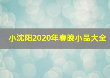 小沈阳2020年春晚小品大全