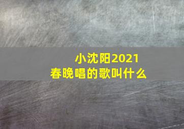 小沈阳2021春晚唱的歌叫什么