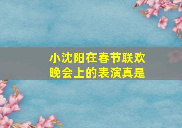 小沈阳在春节联欢晚会上的表演真是