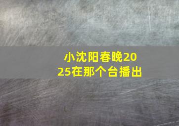 小沈阳春晚2025在那个台播出