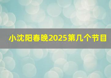 小沈阳春晚2025第几个节目