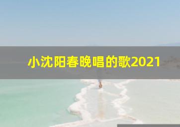 小沈阳春晚唱的歌2021