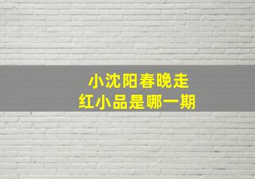 小沈阳春晚走红小品是哪一期