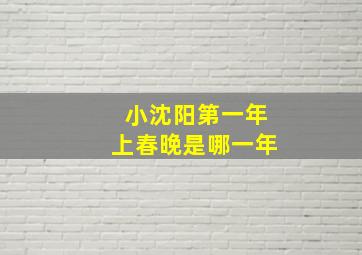 小沈阳第一年上春晚是哪一年