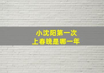 小沈阳第一次上春晚是哪一年