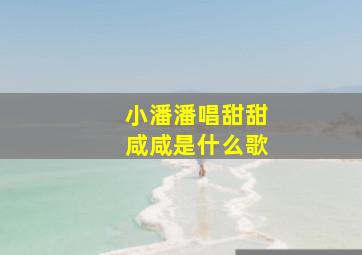 小潘潘唱甜甜咸咸是什么歌