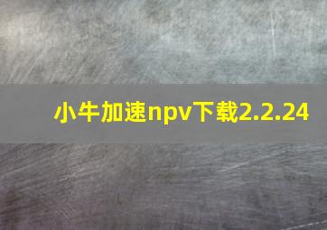 小牛加速npv下载2.2.24