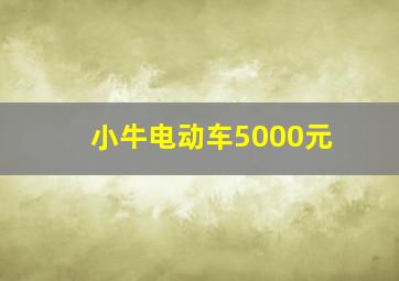 小牛电动车5000元