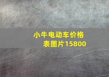 小牛电动车价格表图片15800