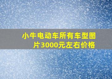 小牛电动车所有车型图片3000元左右价格