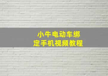 小牛电动车绑定手机视频教程