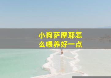 小狗萨摩耶怎么喂养好一点