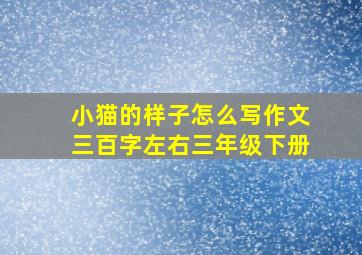 小猫的样子怎么写作文三百字左右三年级下册