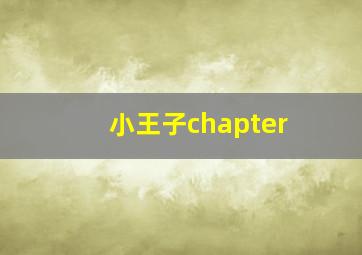 小王子chapter