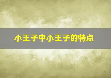 小王子中小王子的特点