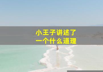 小王子讲述了一个什么道理