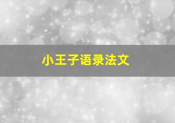 小王子语录法文