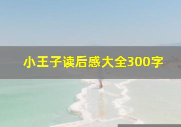 小王子读后感大全300字