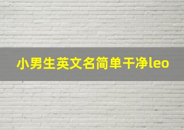 小男生英文名简单干净leo