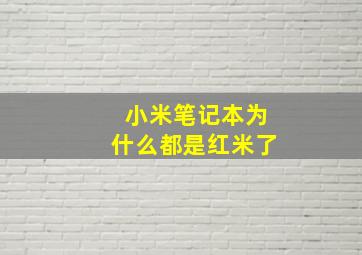 小米笔记本为什么都是红米了