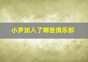 小罗加入了哪些俱乐部