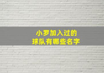 小罗加入过的球队有哪些名字