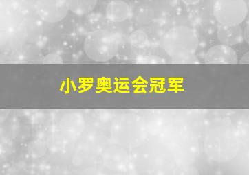 小罗奥运会冠军