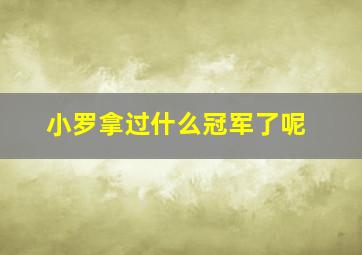 小罗拿过什么冠军了呢