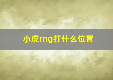 小虎rng打什么位置