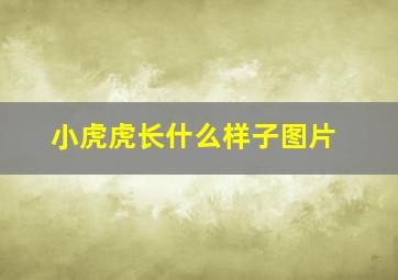 小虎虎长什么样子图片