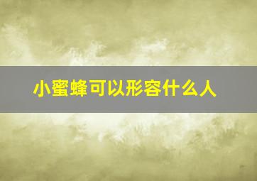 小蜜蜂可以形容什么人