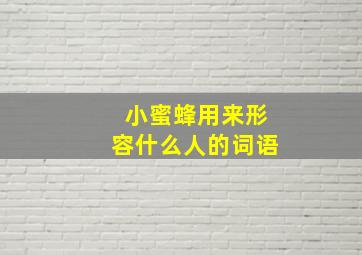 小蜜蜂用来形容什么人的词语