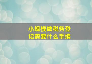 小规模做税务登记需要什么手续