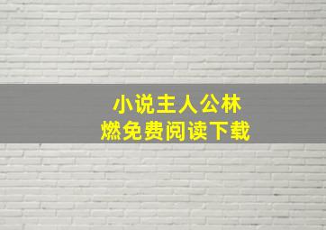 小说主人公林燃免费阅读下载