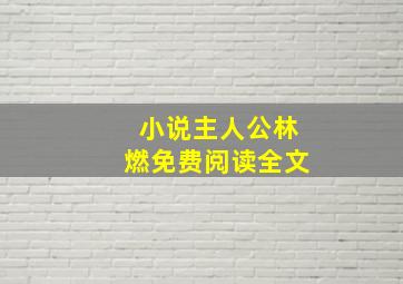 小说主人公林燃免费阅读全文