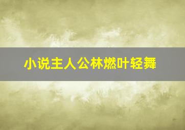 小说主人公林燃叶轻舞