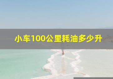 小车100公里耗油多少升