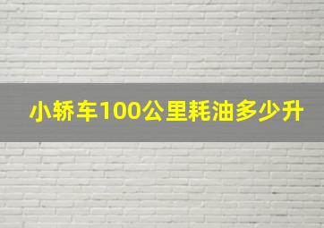 小轿车100公里耗油多少升