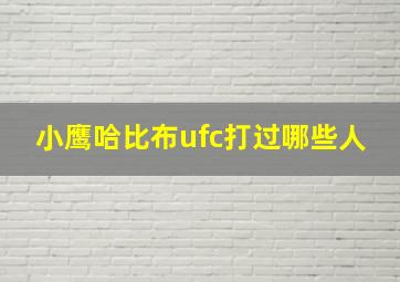 小鹰哈比布ufc打过哪些人