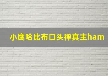 小鹰哈比布口头禅真主ham