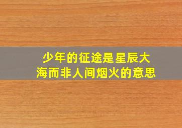 少年的征途是星辰大海而非人间烟火的意思