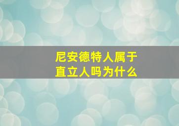 尼安德特人属于直立人吗为什么