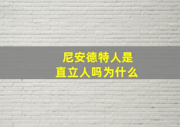 尼安德特人是直立人吗为什么