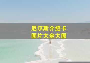 尼尔斯介绍卡图片大全大图