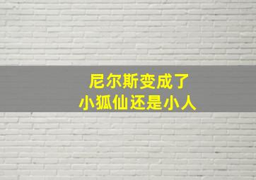 尼尔斯变成了小狐仙还是小人