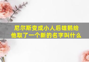 尼尔斯变成小人后雄鹅给他取了一个新的名字叫什么